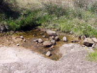 26-Apr-2003 11:43
Enchanted Rock, TX
A drying river bed