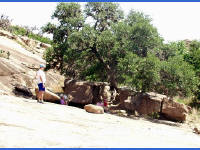 26-Apr-2003 11:48
Enchanted Rock, TX
A family taking a rest in the last shade before the dome