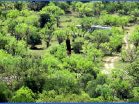 26-Apr-2003 11:53
Enchanted Rock, TX
A circling buzzard