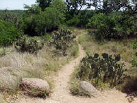 26-Apr-2003 12:21
Enchanted Rock, TX
Nearing the bottom of the path