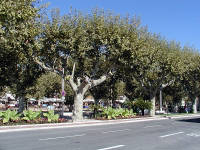 12-Oct-2002 13:07
Cannes
The sea front promenade