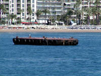 12-Oct-2002 13:23
Cannes
Birds on a float in the harbour